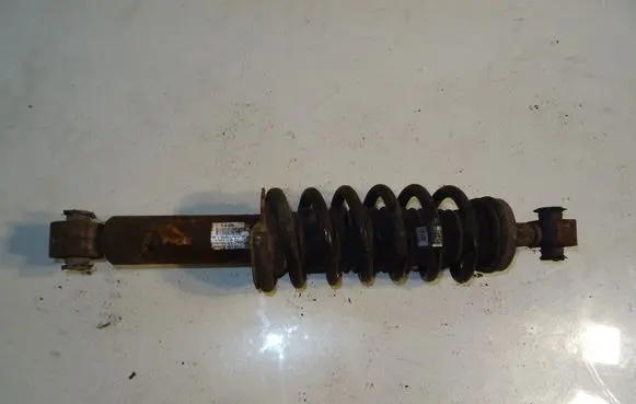 Peugeot 508 Rear shock absorber with coil spring 9593