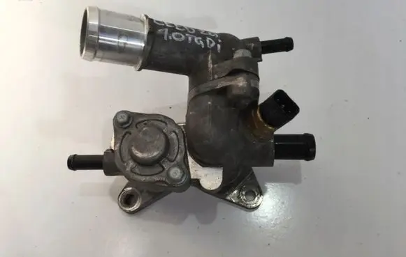 Thermostat/thermostat housing