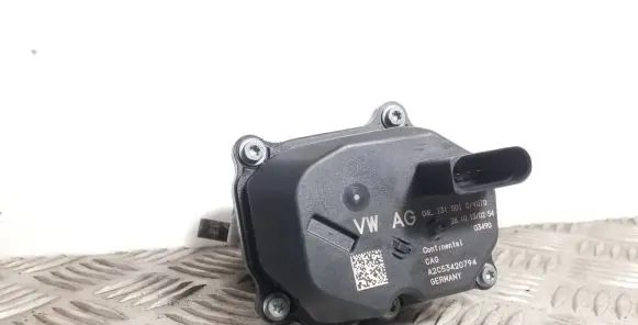 Skoda Octavia Mk3 (5E) EGR valve 04L131501C