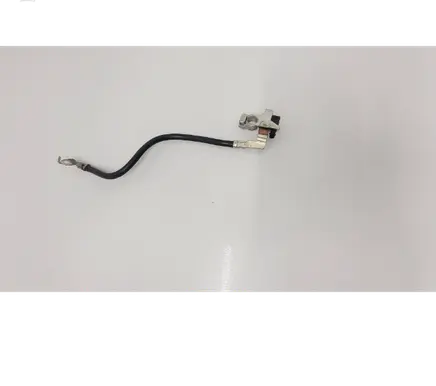 Ford Kuga II Negative earth cable (battery) F1ft10c679cb1