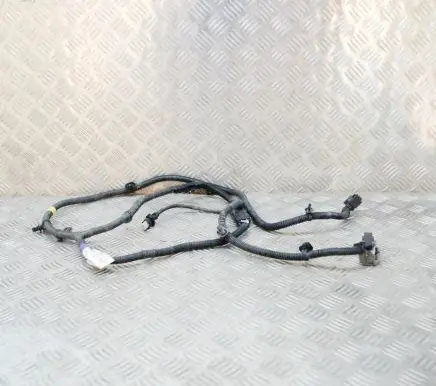 Tesla Model 3 Other wiring loom 148905101D