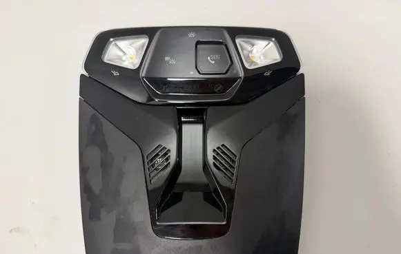 BMW X2 U10 Front seat light 5B477C1 5B8AB81