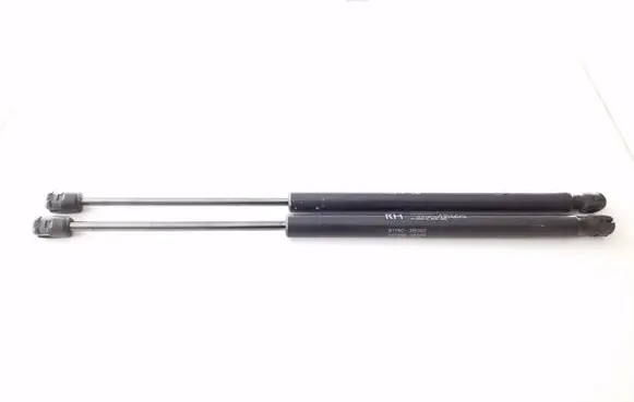 Tailgate/trunk strut/damper