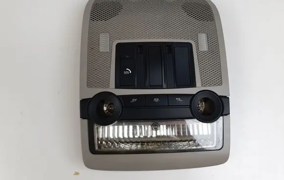 BMW X5 E70 Front seat light 9138376