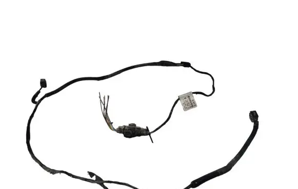 Citroen C5 Parking sensor (PDC) wiring loom 20103124