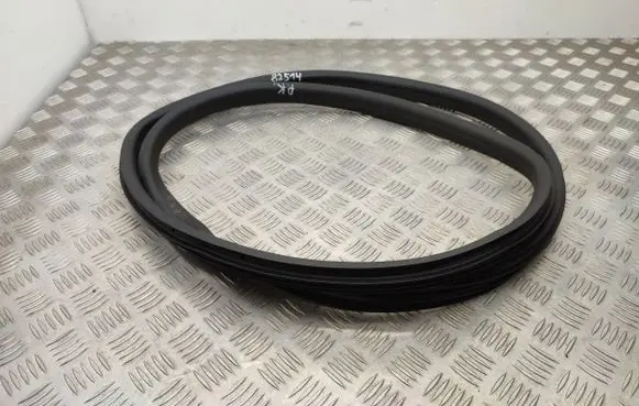 Ford Fiesta Front door rubber seal 
