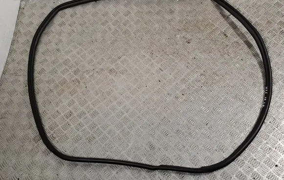 Toyota Verso Front door rubber seal 623120F020B0