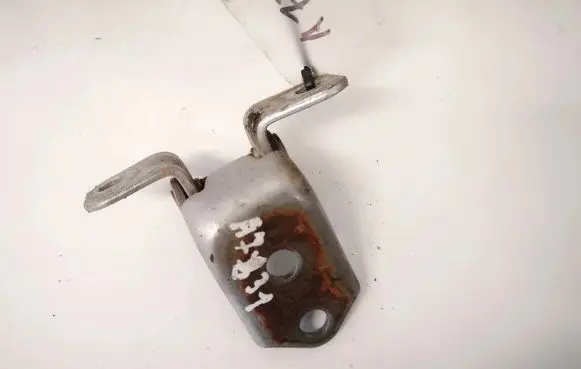 Rear door lower hinge