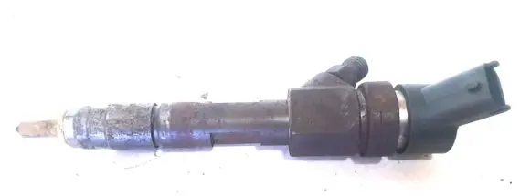 Renault Megane II Fuel injector
