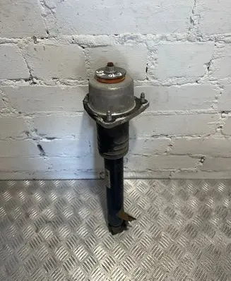 BMW X5 E70 Rear shock absorber/damper 6781927