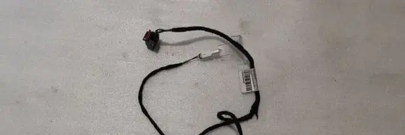 Rear door wiring loom