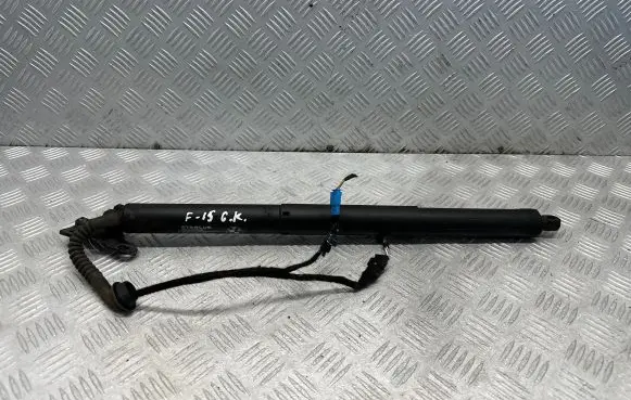 Tailgate/trunk strut/damper
