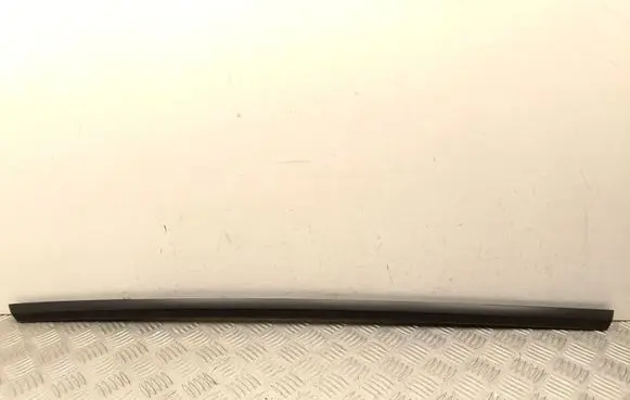 Tesla Model Y Rear door trim (molding) 162117000C
