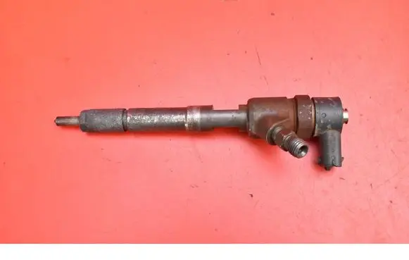 Opel Combo D Fuel injector 0445110614