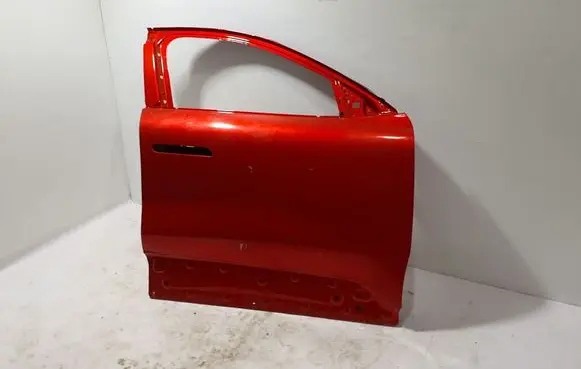 Renault Scenic E-Tech V Front door 801001525R