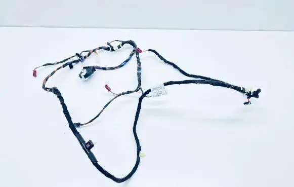 BMW X5 G05 Front door wiring loom 61125A43631 5A43631