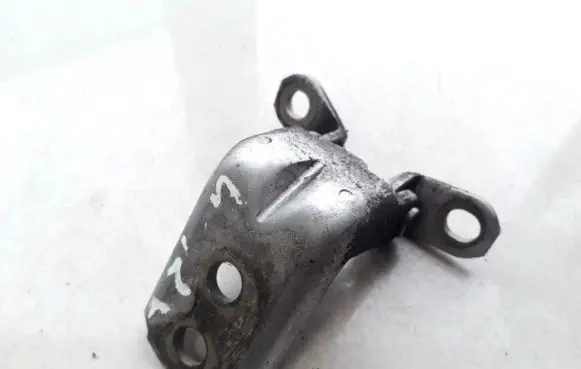 Nissan Pathfinder R51 Rear door lower hinge