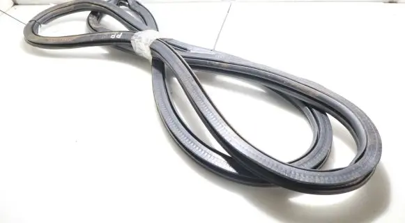 Volkswagen Polo VI Rubber seal front door (on door) 