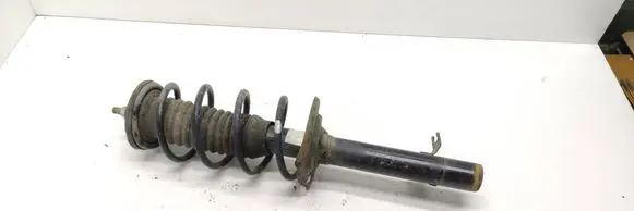 Front shock absorber with coil spring