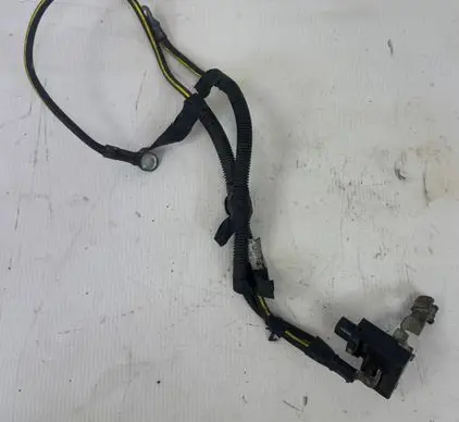Other wiring loom