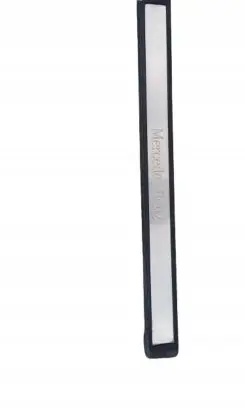 Mercedes-Benz E W211 Front sill (body part) A2116800378