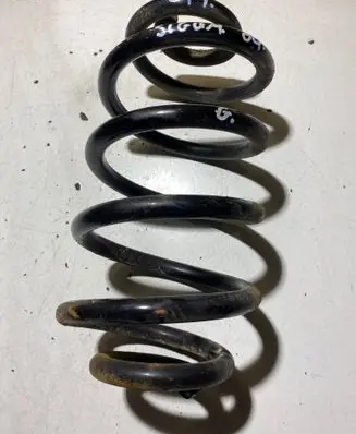 Rear coil spring
