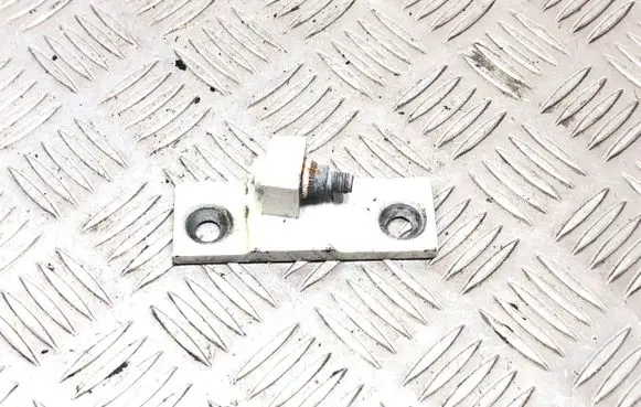 Front door lower hinge