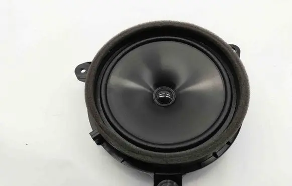 Rear door speaker
