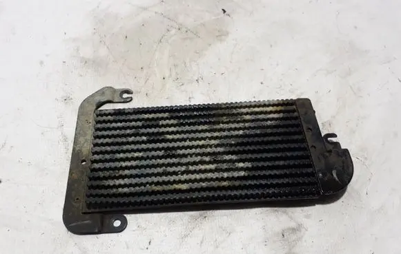 Renault Trafic III (X82) Optional radiator 175104049R