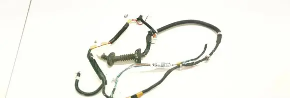 Rear door wiring loom