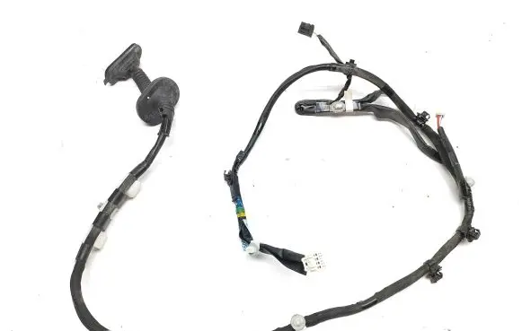 Lexus IS III XE30 Rear door wiring loom 8215353150F
