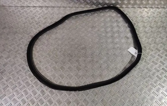 BMW 4 F36 Gran coupe Rear door rubber seal (on body) 7401893