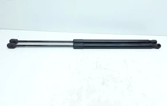 Tailgate/trunk strut/damper