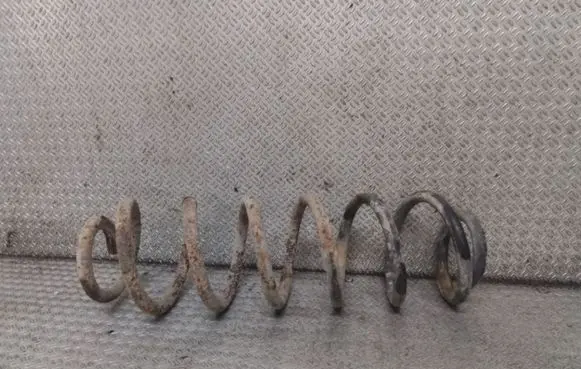 Rear coil spring