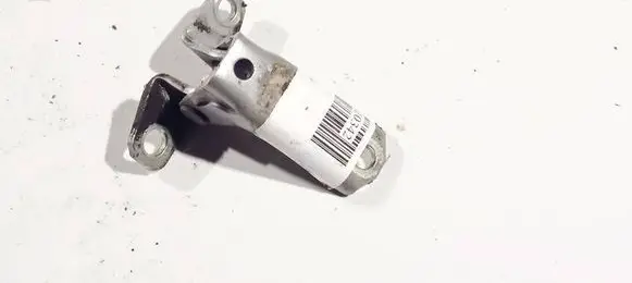 Mitsubishi Lancer X Rear door lower hinge