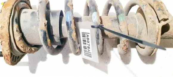 Rear coil spring