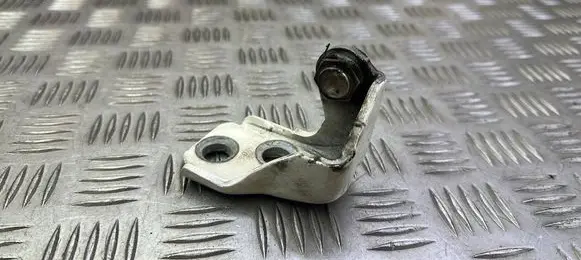 Ford Ecosport Rear door lower hinge