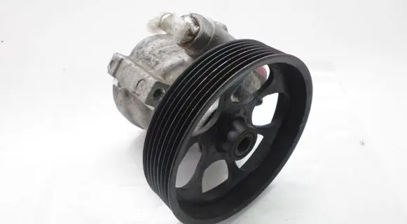 Renault Laguna III Power steering pump 8200374085 26128105EJ