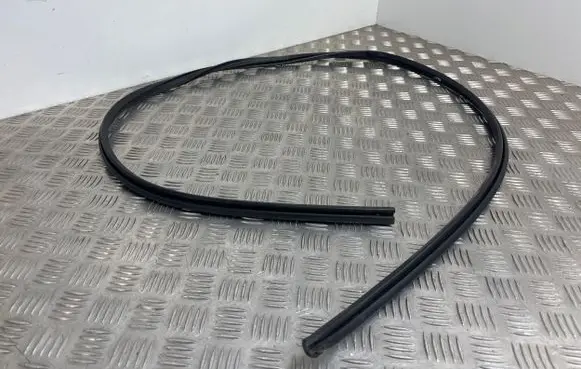 Peugeot Expert Rubber seal front door (on door) 