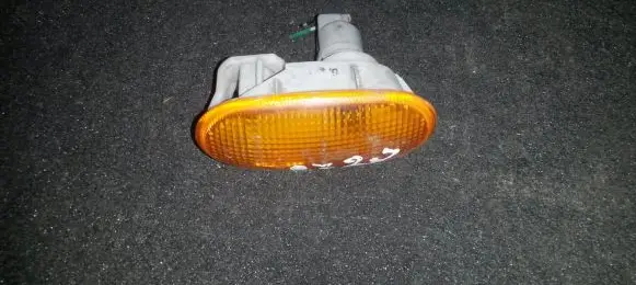 Front fender indicator light