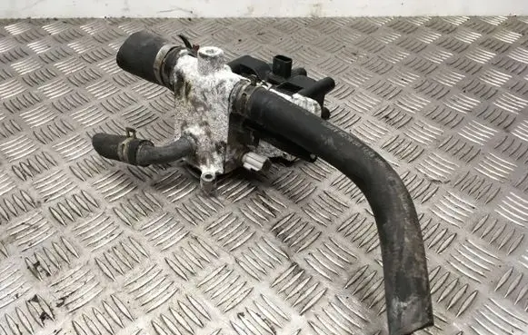 Thermostat/thermostat housing