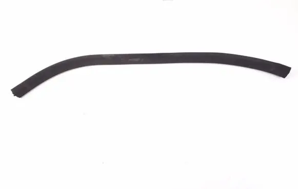 Mercedes-Benz SLK R171 Front door rubber seal A1716970351