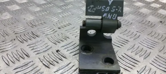 BMW X5 E53 Front door lower hinge 415182651509