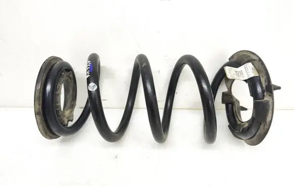 Rear coil spring