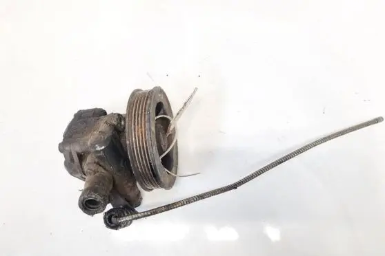 KIA Carnival Power steering pump