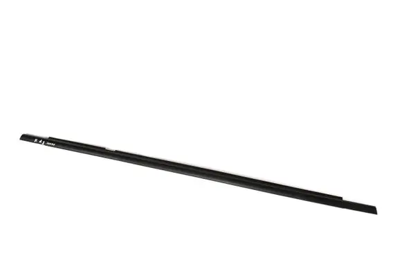 Rear door glass trim molding