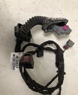 Rear door wiring loom