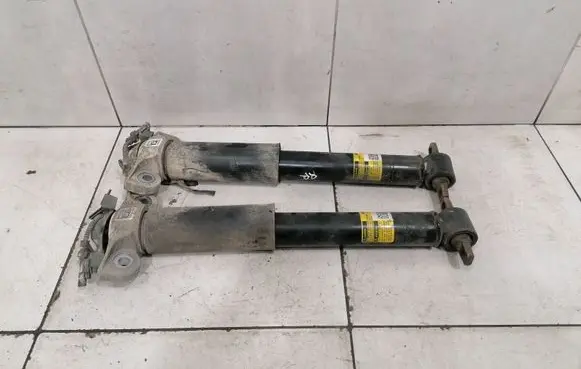 Ford Mustang VI Rear shock absorber/damper KR3C18W003TA