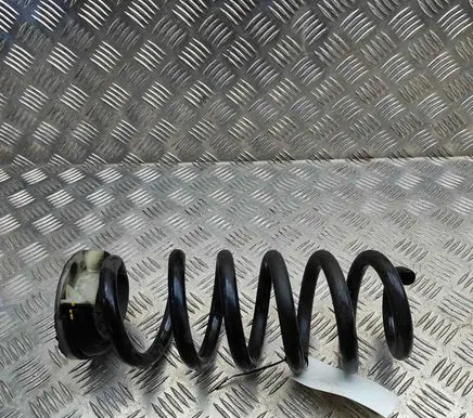 Nissan Ariya Rear coil spring 550205MP2B