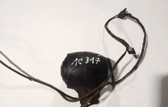 Ford Grand C-MAX Alarm system siren 